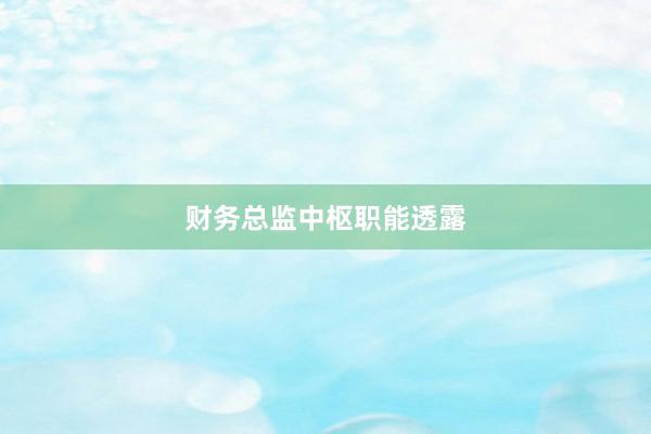 财务总监中枢职能透露